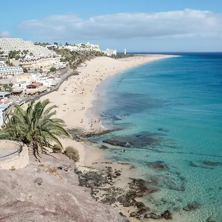 Palm Garden With Sea Views To The Pools And *