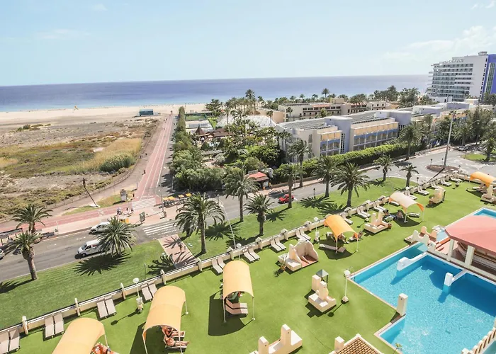 Palm Garden With Sea Views To The Pools And