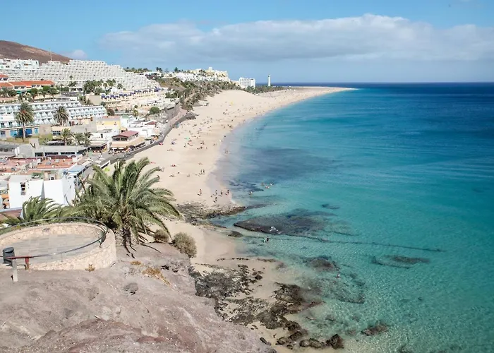 Palm Garden With Sea Views To The Pools And *
